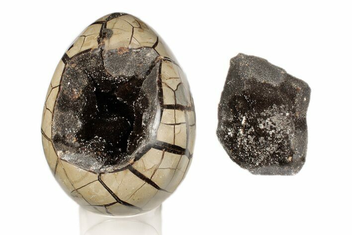 7.5" Septarian "Dragon Egg" Geode - Removable Section